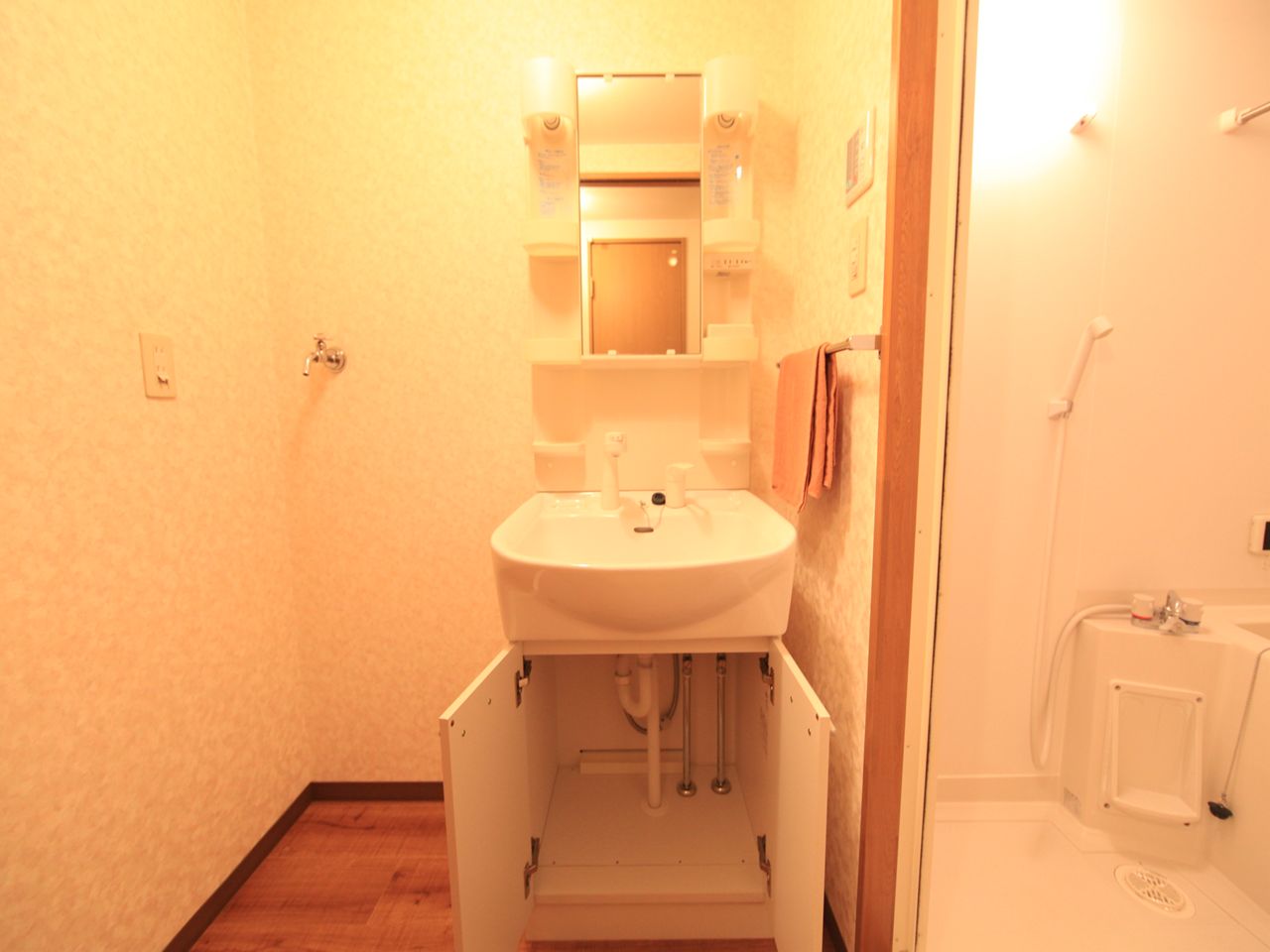 Washroom. Dressing room Independent washbasin (with shampoo dresser)