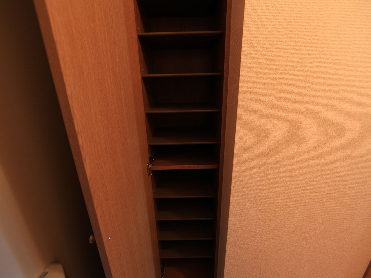 Entrance. Entrance Shoes with a box (storage rich have)