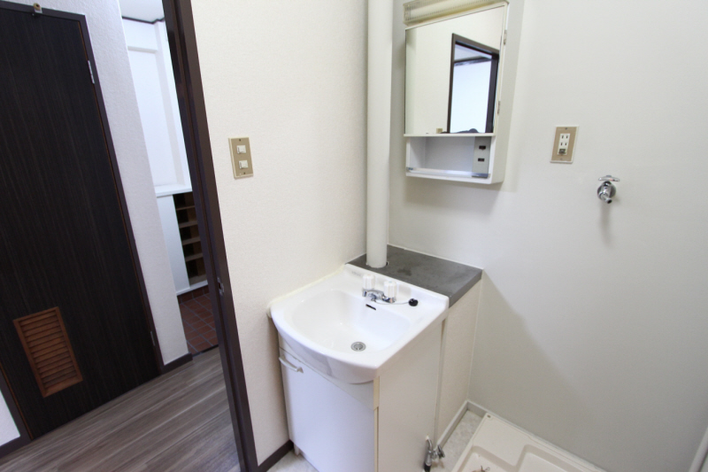 Washroom. Independent wash basin