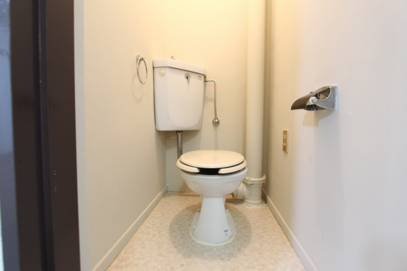 Toilet. Toilet floating cleanliness