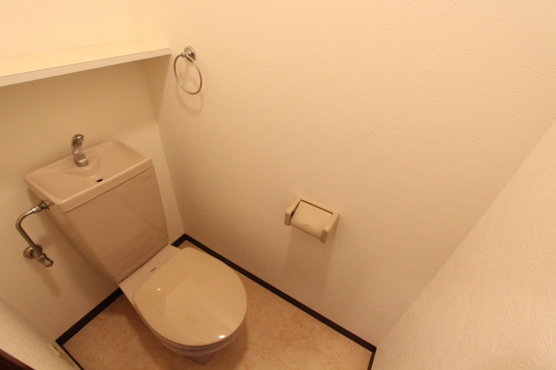 Toilet. WC