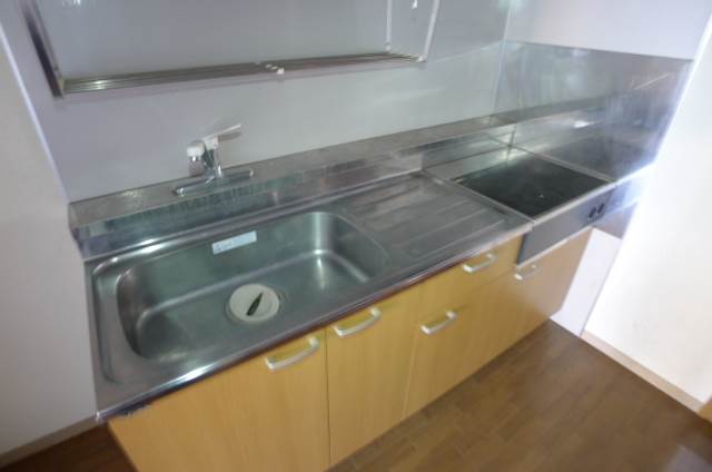 Kitchen. Two-burner IH with stove!