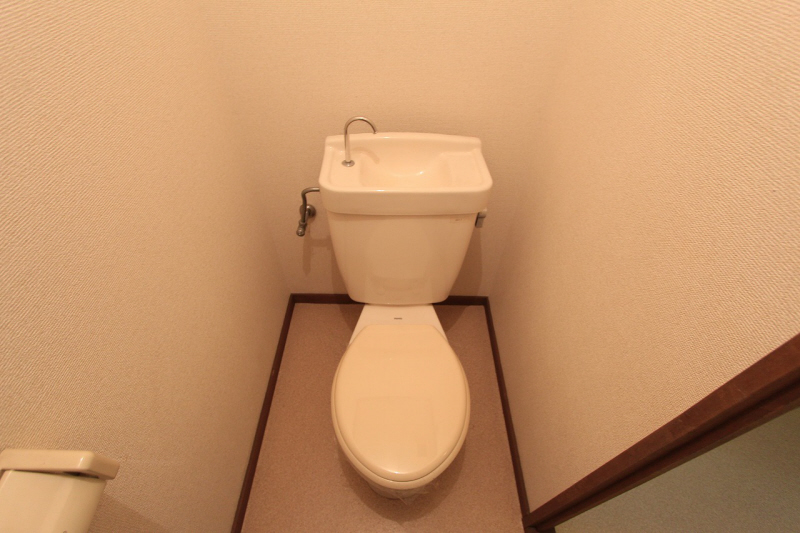 Toilet. Lost in thought tray also widely slowly here.