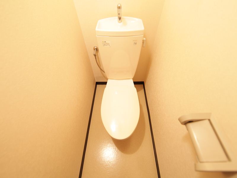 Toilet. Warm water washing toilet seat mounting possible