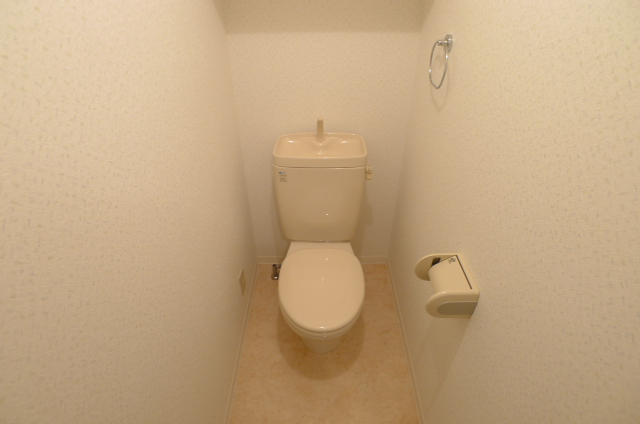 Toilet. It is a toilet with a clean! 