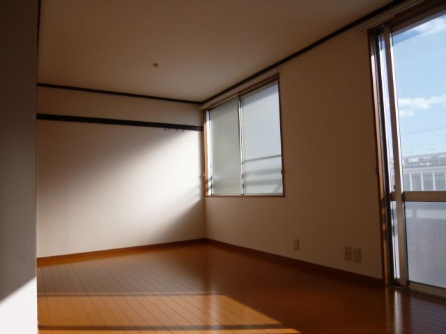 Living and room. Bright Interoceanic