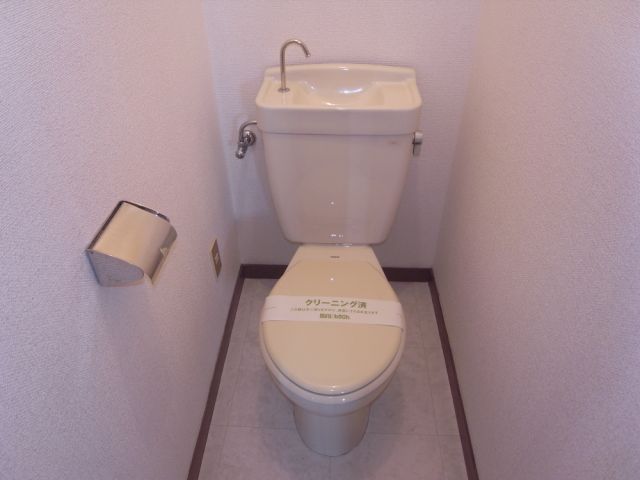 Toilet. Western-style toilet.