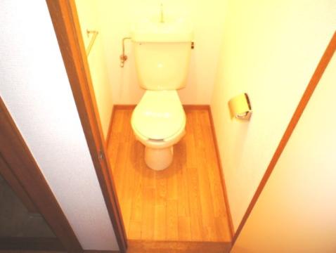 Toilet. Toilet