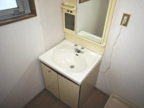 Washroom. Bathroom vanity