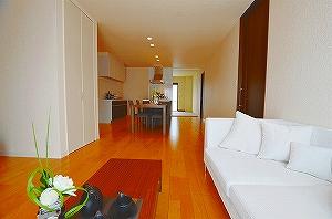 Living. Bright and spacious living is communication space the family gather on the south side.