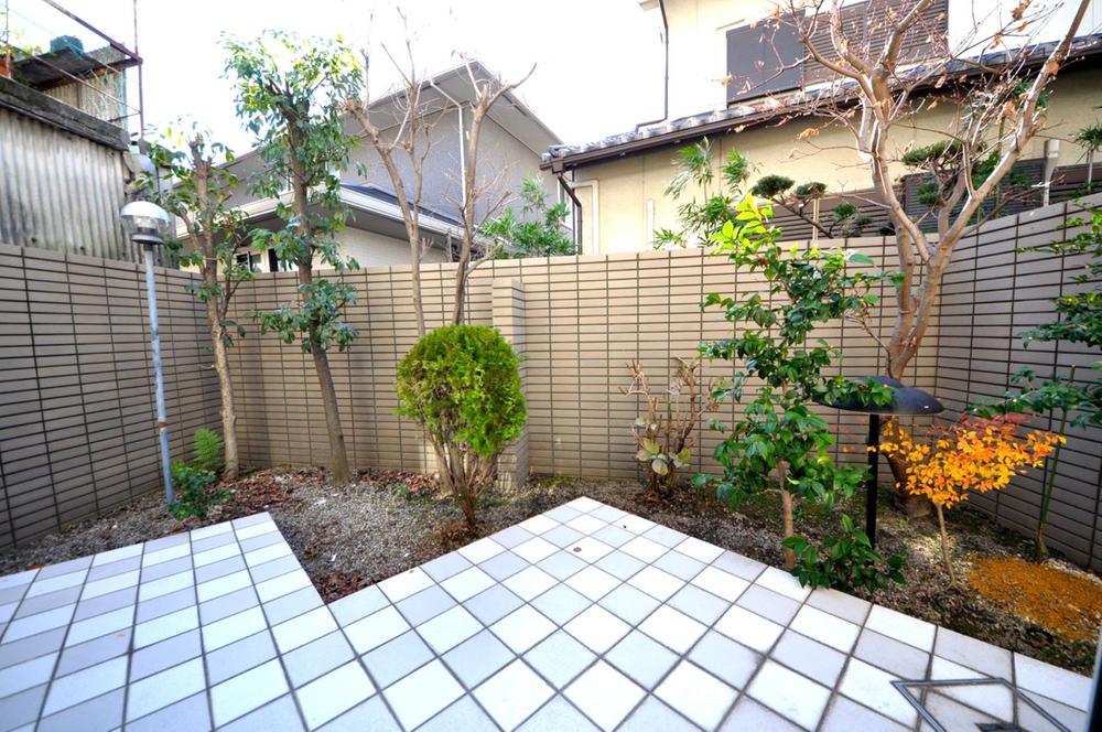 Garden. Local (2013 / 12 / 12) shooting