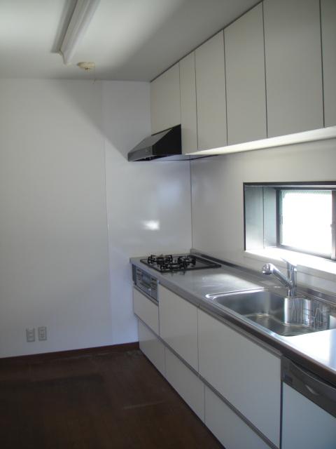 Kitchen. Indoor (June 2013) Shooting Kitchen replacement (Cleanup Rakuera)