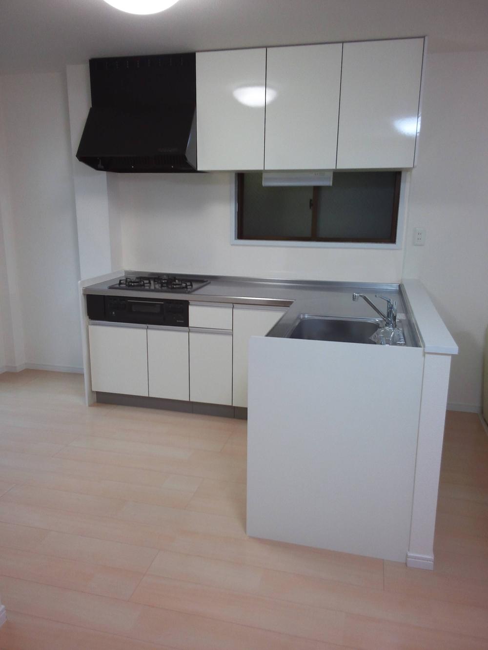 Kitchen. Indoor (11 May 2013) Shooting