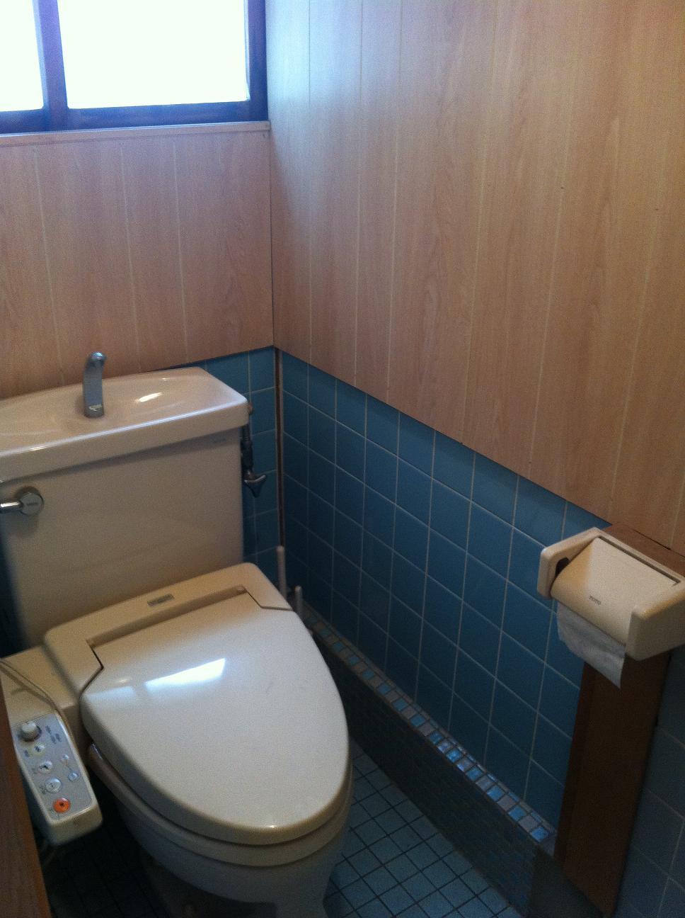 Toilet. Indoor (June 2013) Shooting