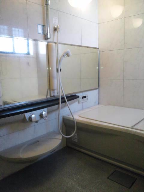 Bathroom. Indoor (June 2013) Shooting