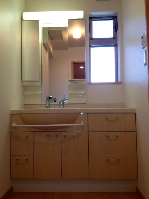 Non-living room. Walk-in closet with