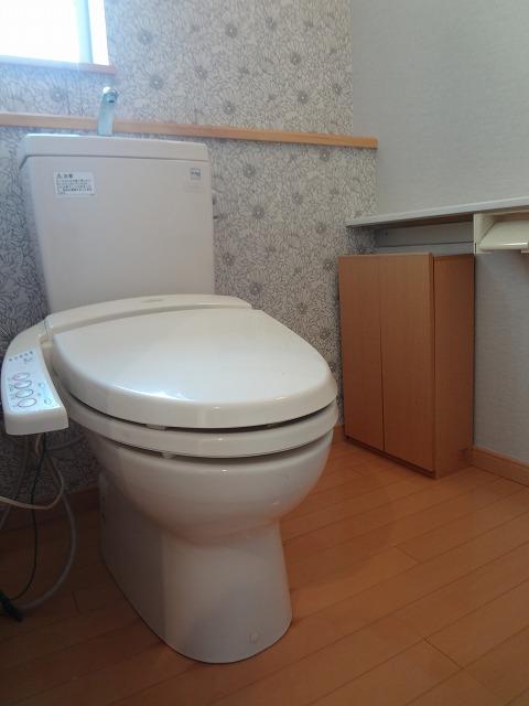 Toilet. With hand washing counter