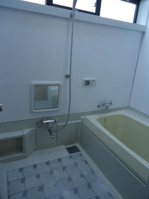 Bathroom. Indoor (12 May 2012) shooting