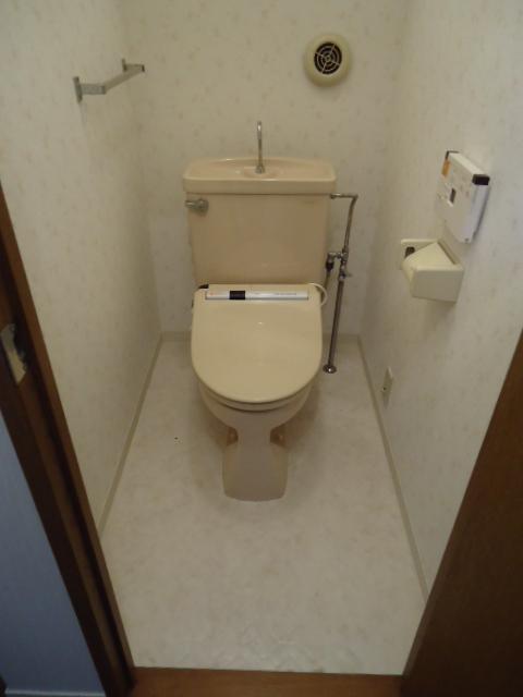 Toilet. Indoor (12 May 2012) shooting