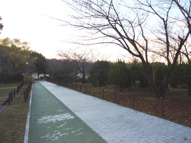 Other. Narrow mouth pond park