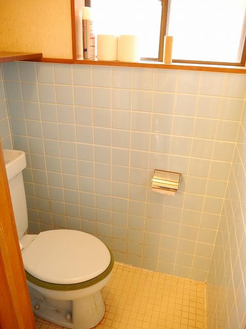 Toilet. First floor toilet