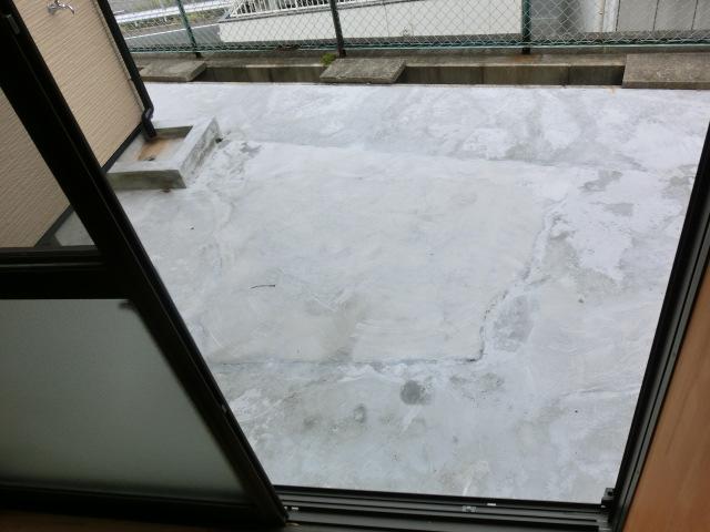 Garden. Local (April 2013) Shooting