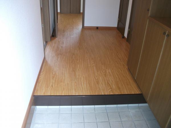 Entrance. Bright entrance of the south-facing.