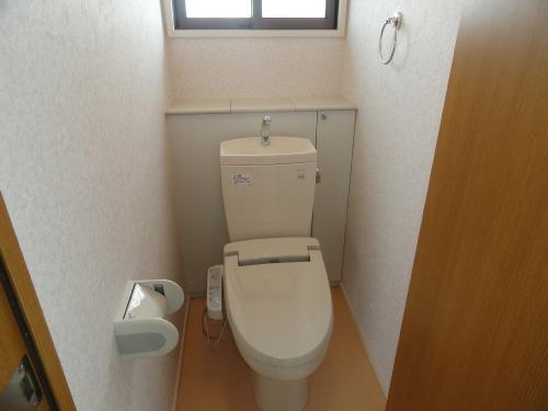 Other introspection. Toilet