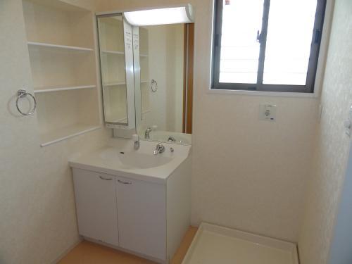 Other introspection. Wash