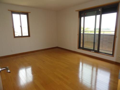 Other introspection. 2 Kaiyoshitsu