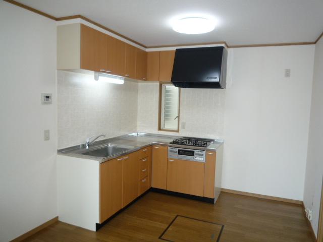 Kitchen. Indoor (11 May 2013) Shooting