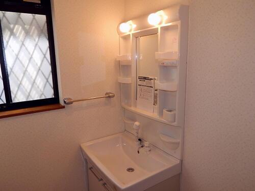 Wash basin, toilet. Bathroom vanity