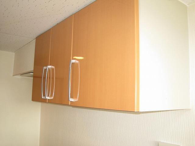 Receipt. Kitchen on the storage shelves of company housing (2)