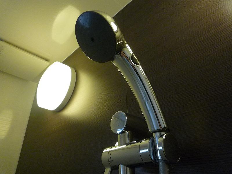 Bathroom. shower head
