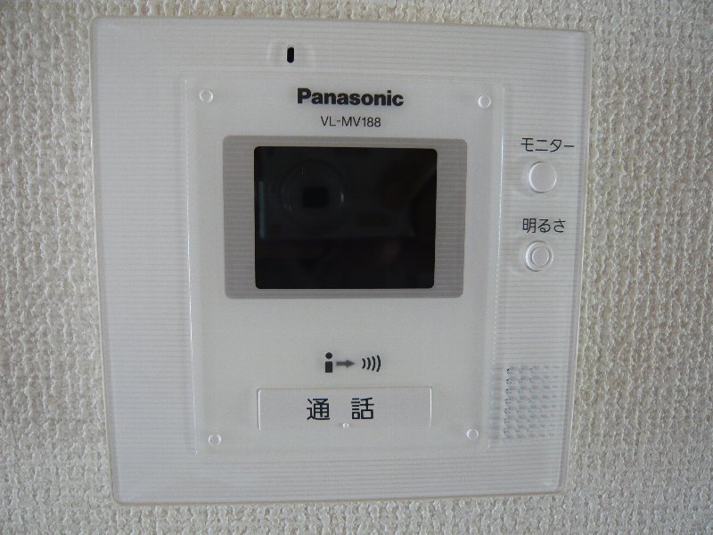 Security. Monitor with intercom