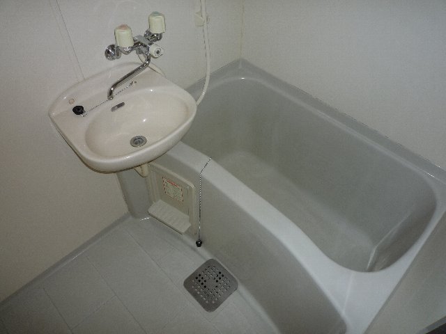 Bath. Glad to woman, Bus toilet by