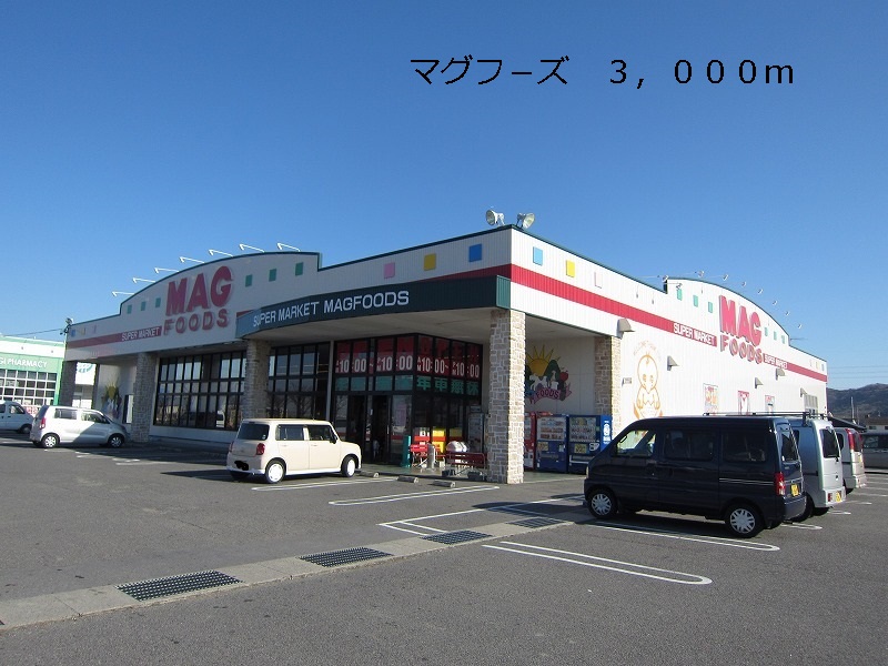 Supermarket. Scan - pa - 3000m up to (super)