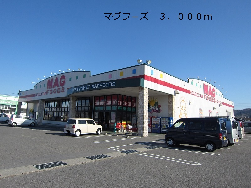Supermarket. 3000m to MAG Foods (super)