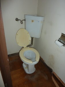 Toilet