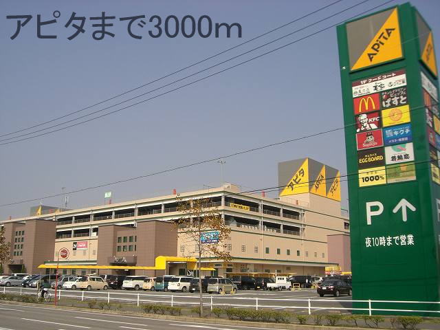 Shopping centre. Apita until the (shopping center) 3000m