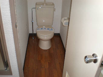 Toilet