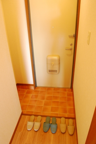 Entrance. Beautiful entrance of tile tone