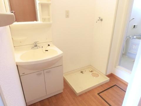 Other room space. Dressing room