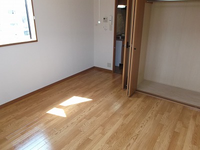Living and room. Western-style (2).