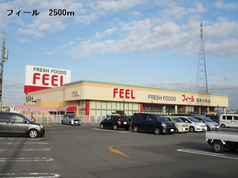 Supermarket. 2500m to feel Okazaki Yamato store (Super)