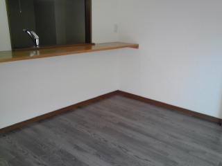 Living and room. Counter is a kitchen and living room.