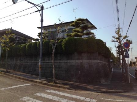 Local photos, including front road. Local (11 May 2013) Shooting