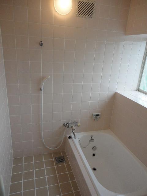 Bathroom. Indoor (08 May 2013) Shooting