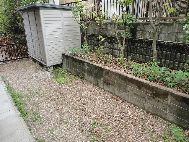 Garden. Local (August 2013) Shooting