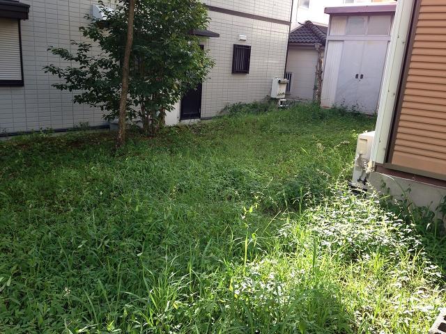 Garden. Local (September 2013) Shooting
